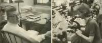 Collage of two people working, one reading at a desk and the other looking through a microscope.